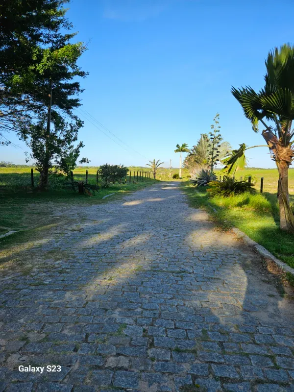 Haras em Vila Velha/Espírito Santo — Ref 5KYG4L — Imagem 48