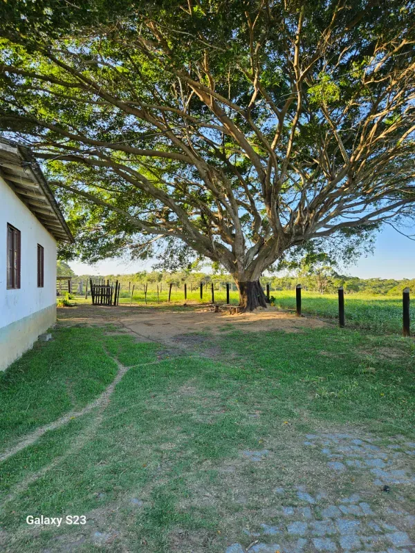 Haras em Vila Velha/Espírito Santo — Ref 5KYG4L — Imagem 38
