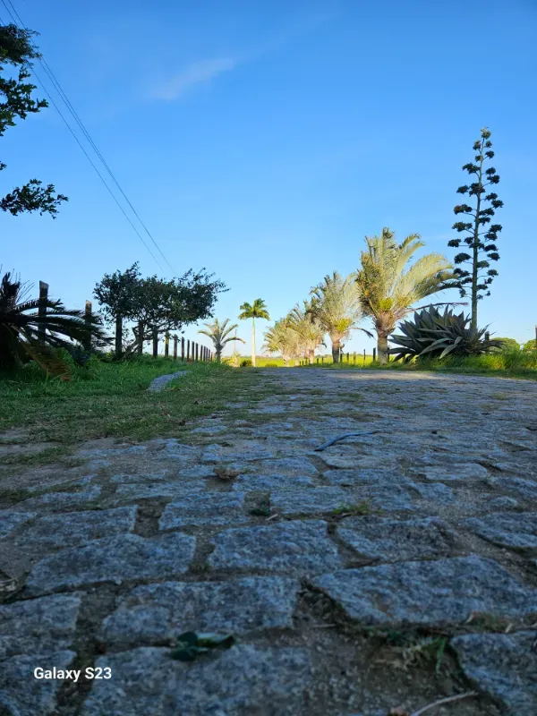 Haras em Vila Velha/Espírito Santo — Ref 5KYG4L — Imagem 50