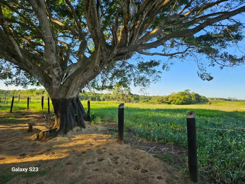 Haras em Vila Velha/Espírito Santo — Ref 5KYG4L — Imagem 40