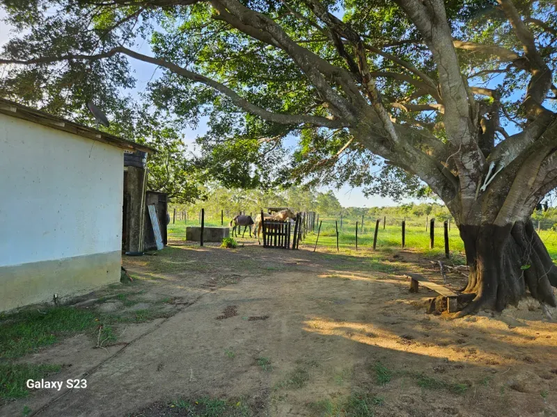 Haras em Vila Velha/Espírito Santo — Ref 5KYG4L — Imagem 39