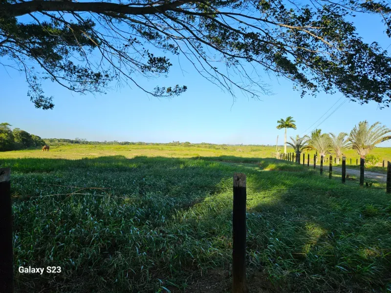 Haras em Vila Velha/Espírito Santo — Ref 5KYG4L — Imagem 41