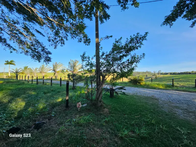 Haras em Vila Velha/Espírito Santo — Ref 5KYG4L — Imagem 42
