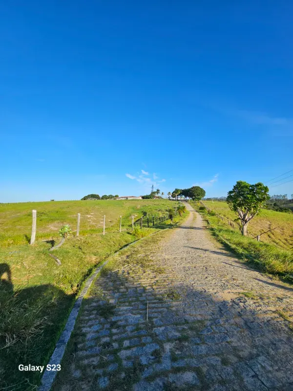 Haras em Vila Velha/Espírito Santo — Ref 5KYG4L — Imagem 55