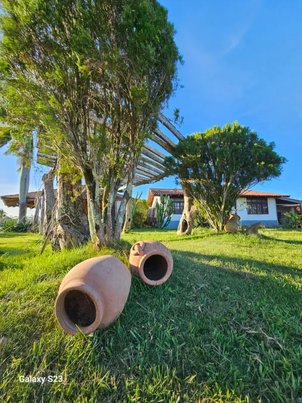 Haras em Vila Velha/Espírito Santo — Ref 5KYG4L — Imagem 71