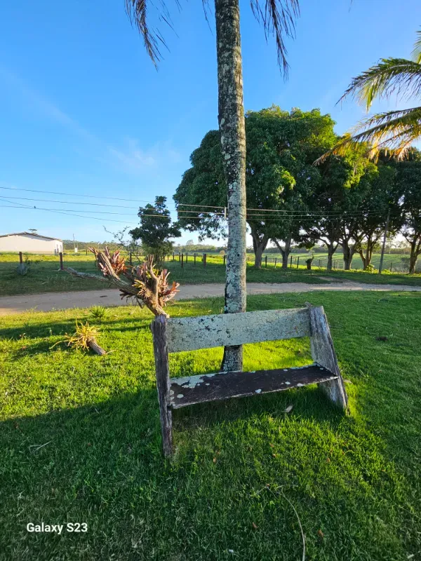 Haras em Vila Velha/Espírito Santo — Ref 5KYG4L — Imagem 58