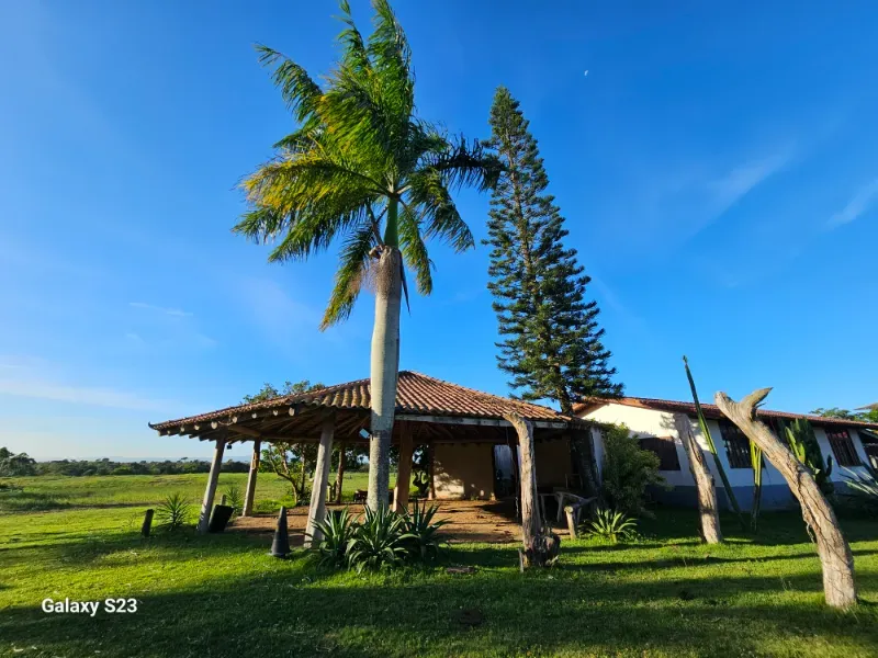 Haras em Vila Velha/Espírito Santo — Ref 5KYG4L — Imagem 60