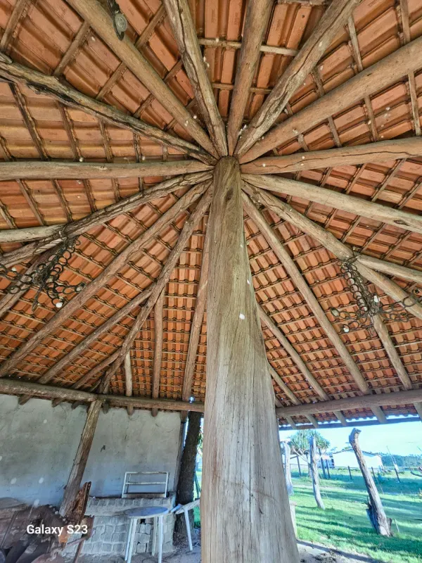 Haras em Vila Velha/Espírito Santo — Ref 5KYG4L — Imagem 66