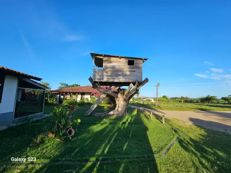 Haras em Vila Velha/Espírito Santo — Ref 5KYG4L — Imagem 75