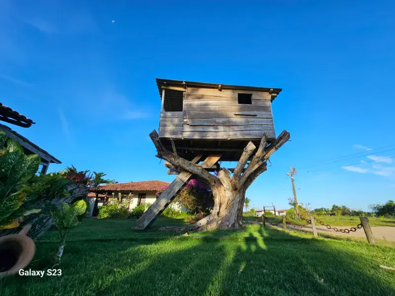 Haras em Vila Velha/Espírito Santo — Ref 5KYG4L — Imagem 76