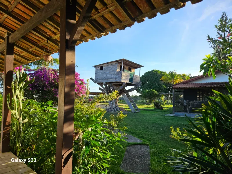 Haras em Vila Velha/Espírito Santo — Ref 5KYG4L — Imagem 89