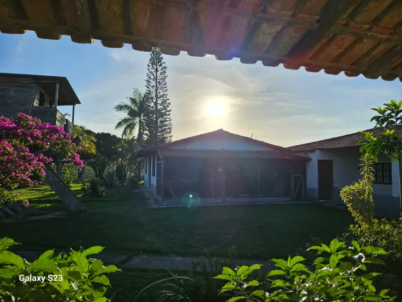 Haras em Vila Velha/Espírito Santo — Ref 5KYG4L — Imagem 86