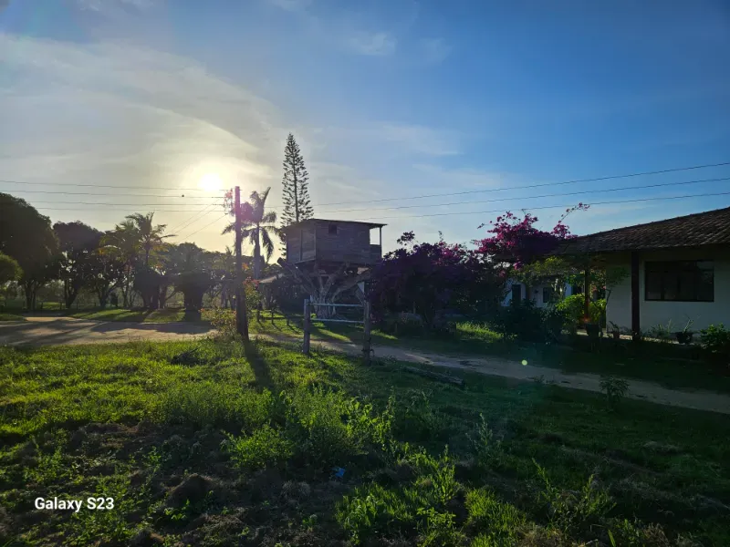 Haras em Vila Velha/Espírito Santo — Ref 5KYG4L — Imagem 104