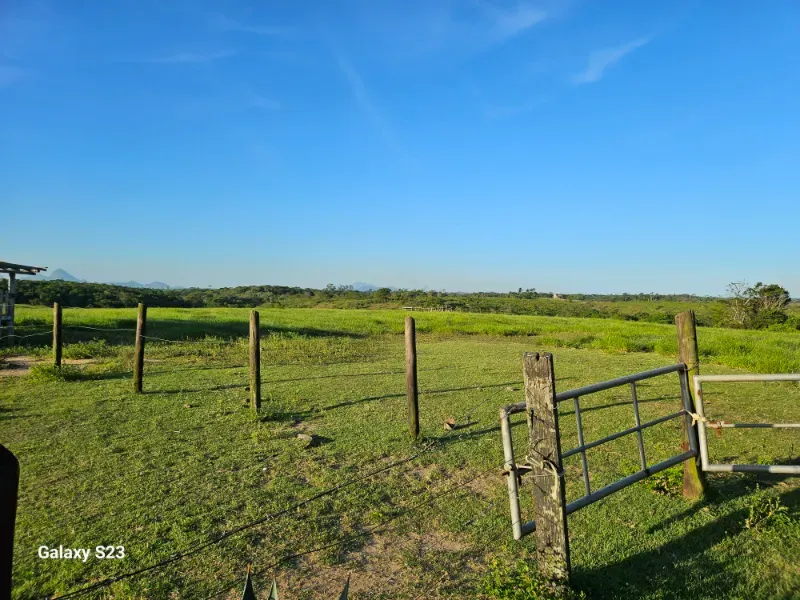 Haras em Vila Velha/Espírito Santo — Ref 5KYG4L — Imagem 127