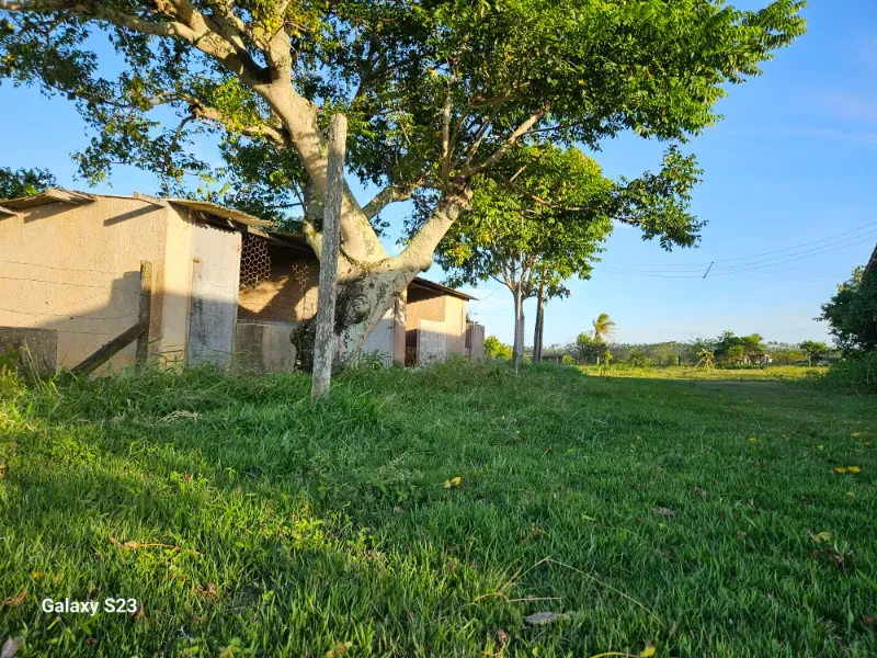 Haras em Vila Velha/Espírito Santo — Ref 5KYG4L — Imagem 124
