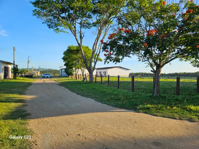 Haras em Vila Velha/Espírito Santo — Ref 5KYG4L — Imagem 106