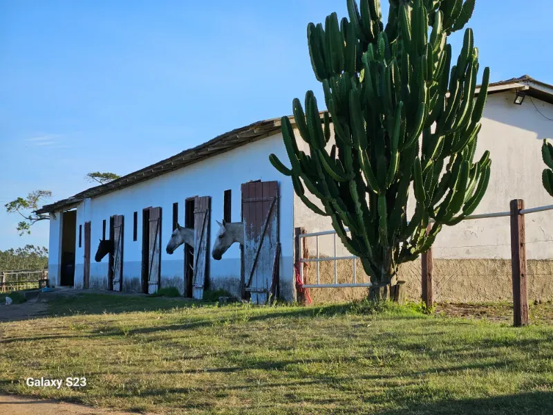 Haras em Vila Velha/Espírito Santo — Ref 5KYG4L — Imagem 111