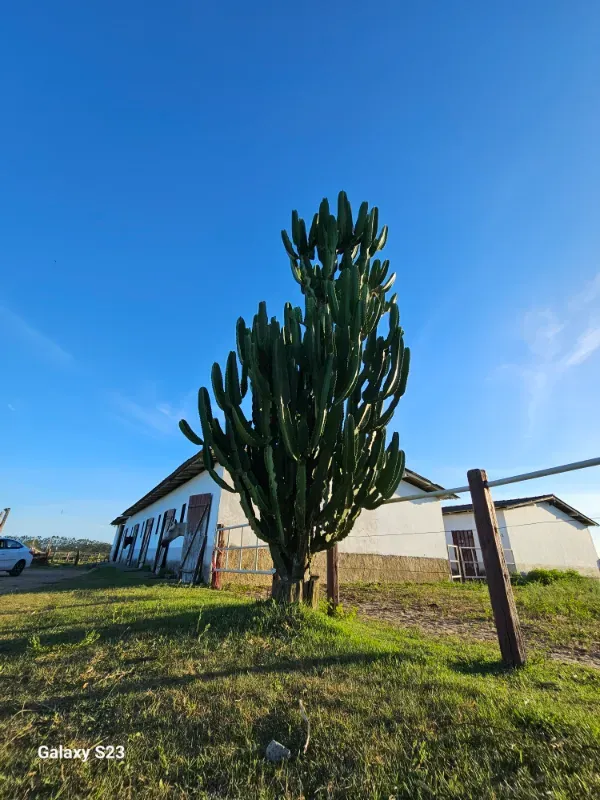 Haras em Vila Velha/Espírito Santo — Ref 5KYG4L — Imagem 113