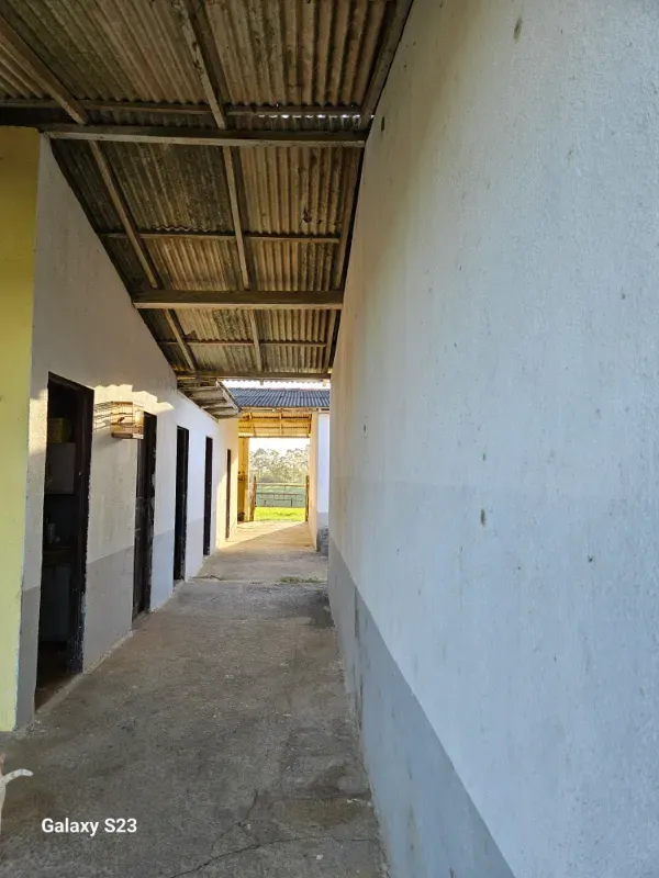 Haras em Vila Velha/Espírito Santo — Ref 5KYG4L — Imagem 117