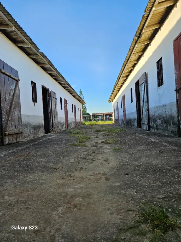 Haras em Vila Velha/Espírito Santo — Ref 5KYG4L — Imagem 119