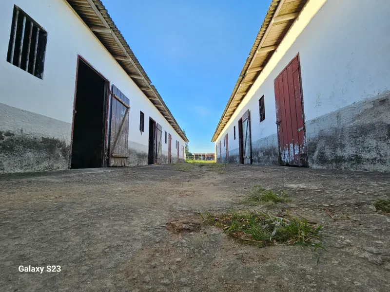 Haras em Vila Velha/Espírito Santo — Ref 5KYG4L — Imagem 120