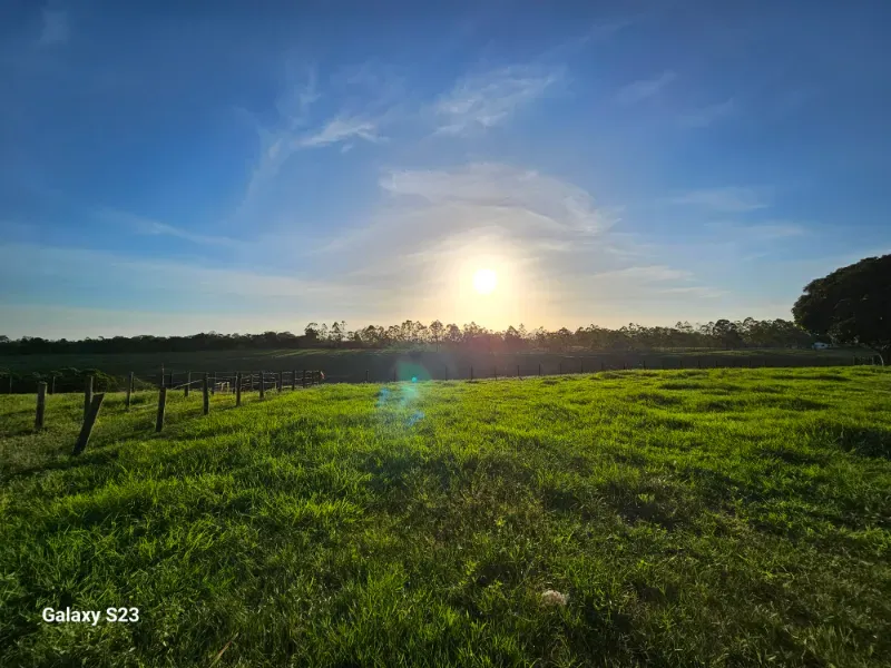 Haras em Vila Velha/Espírito Santo — Ref 5KYG4L — Imagem 22