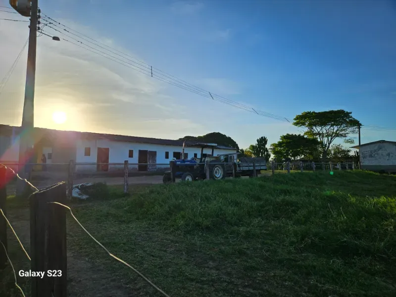 Haras em Vila Velha/Espírito Santo — Ref 5KYG4L — Imagem 116