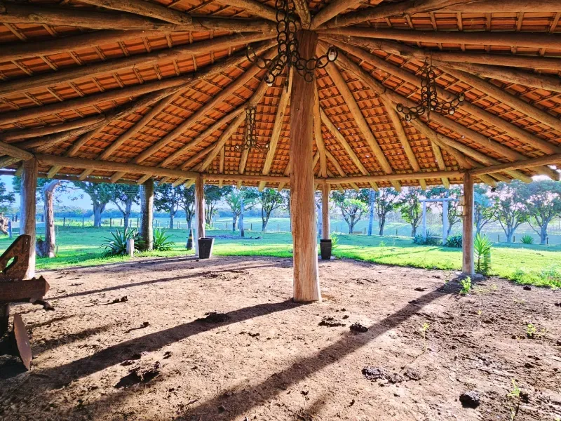 Haras em Vila Velha/Espírito Santo — Ref 5KYG4L — Imagem 65