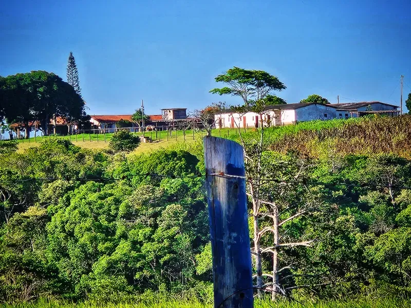 Haras em Vila Velha/Espírito Santo — Ref 5KYG4L — Imagem 16