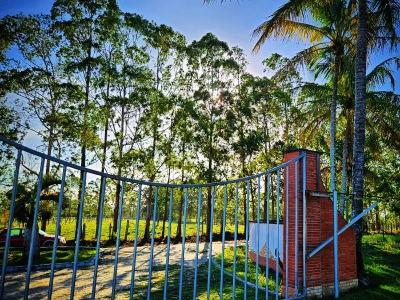 Haras em Vila Velha/Espírito Santo — Ref 5KYG4L — Imagem 34