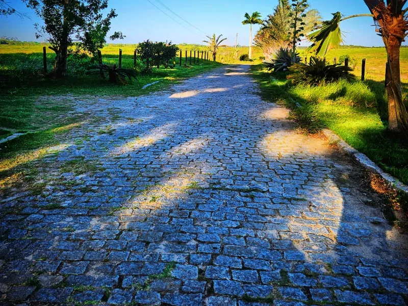 Haras em Vila Velha/Espírito Santo — Ref 5KYG4L — Imagem 47