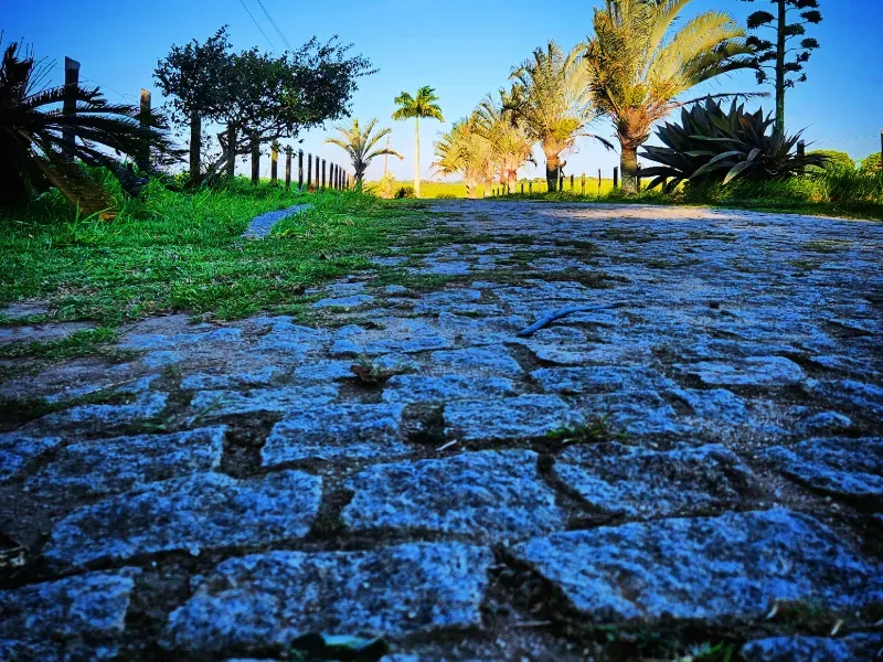 Haras em Vila Velha/Espírito Santo — Ref 5KYG4L — Imagem 49