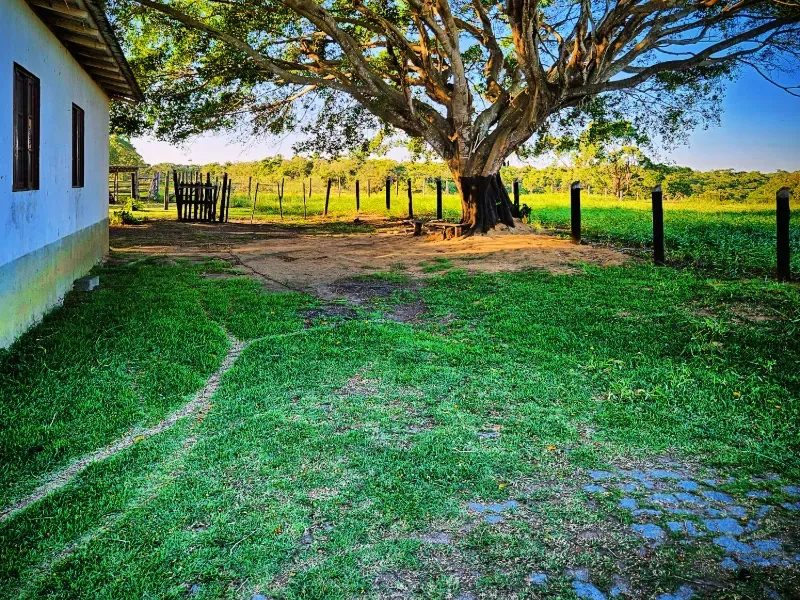 Haras em Vila Velha/Espírito Santo — Ref 5KYG4L — Imagem 37