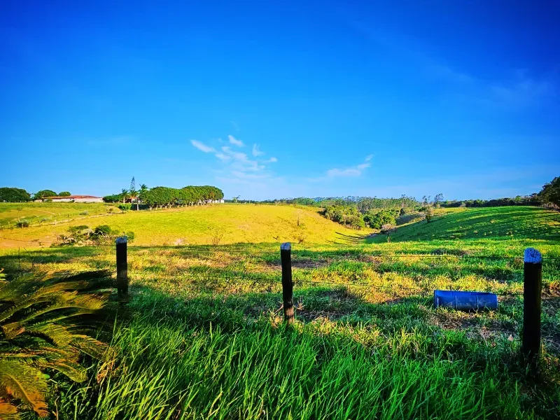 Haras em Vila Velha/Espírito Santo — Ref 5KYG4L — Imagem 45