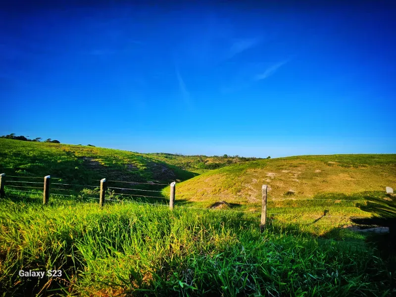 Haras em Vila Velha/Espírito Santo — Ref 5KYG4L — Imagem 51