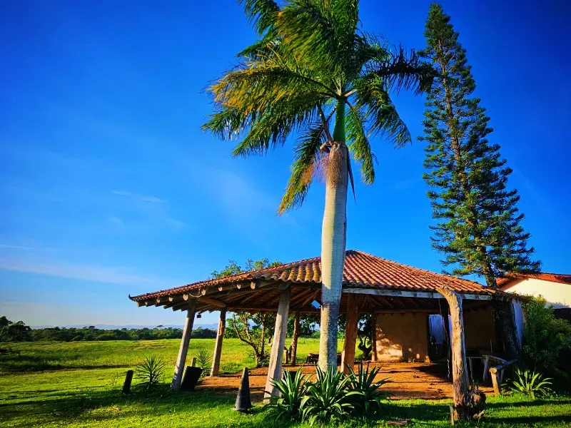 Haras em Vila Velha/Espírito Santo — Ref 5KYG4L — Imagem 59
