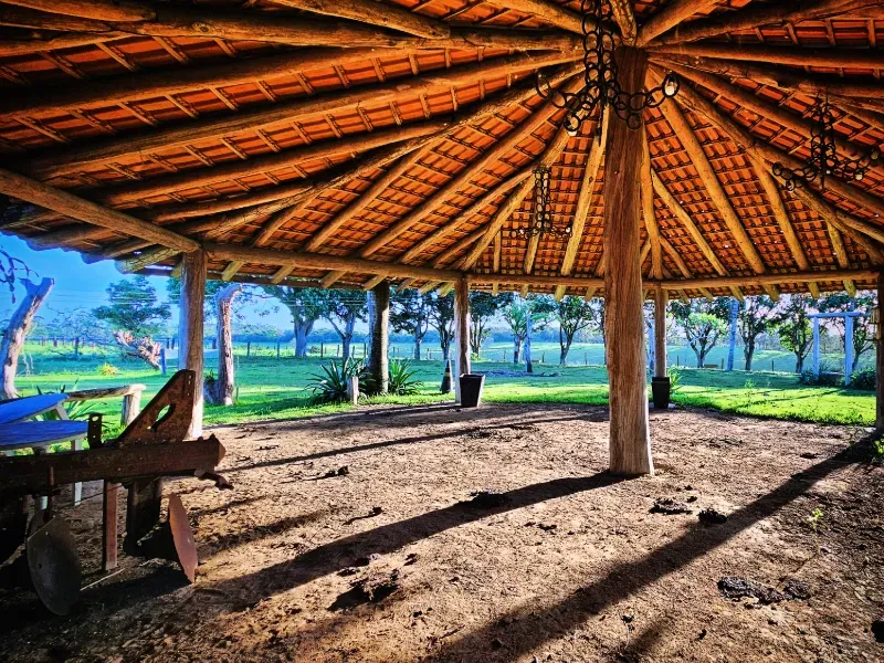 Haras em Vila Velha/Espírito Santo — Ref 5KYG4L — Imagem 64