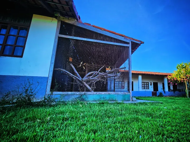Haras em Vila Velha/Espírito Santo — Ref 5KYG4L — Imagem 80