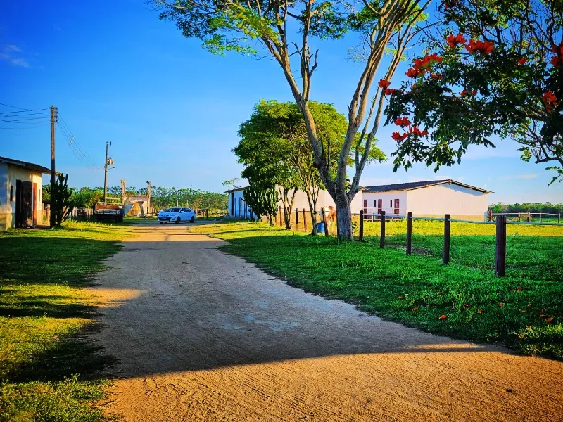 Haras em Vila Velha/Espírito Santo — Ref 5KYG4L — Imagem 105
