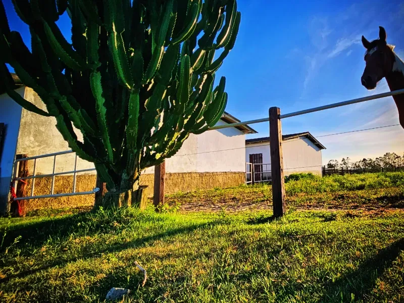 Haras em Vila Velha/Espírito Santo — Ref 5KYG4L — Imagem 112