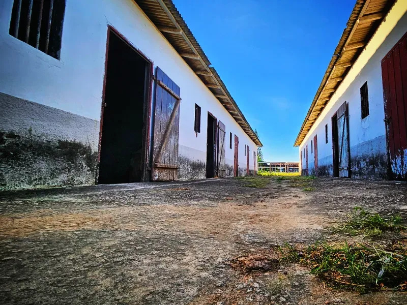Haras em Vila Velha/Espírito Santo — Ref 5KYG4L — Imagem 118