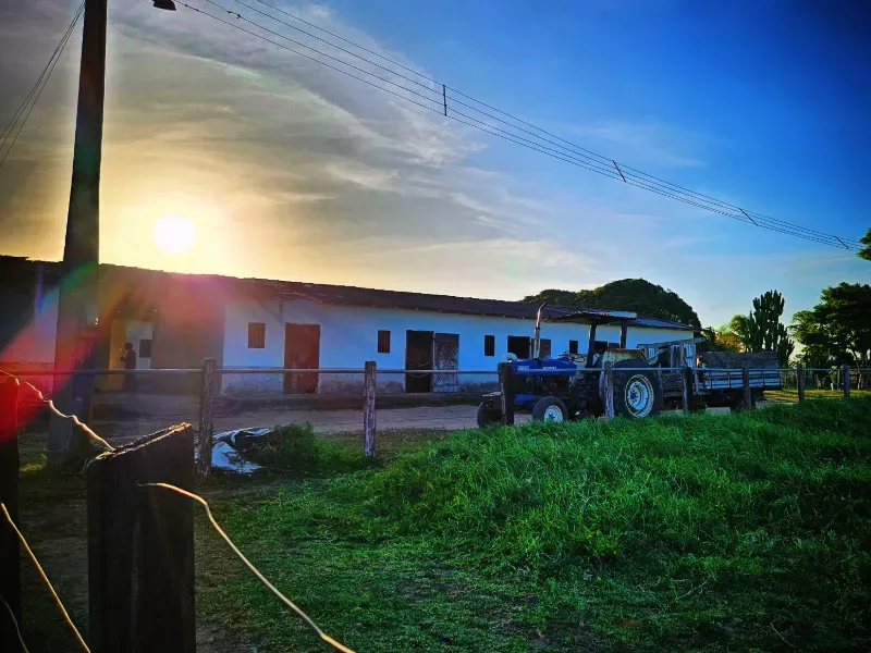 Haras em Vila Velha/Espírito Santo — Ref 5KYG4L — Imagem 115