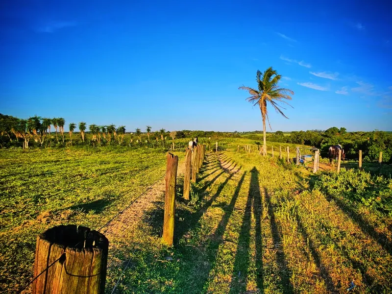 Haras em Vila Velha/Espírito Santo — Ref 5KYG4L — Imagem 123