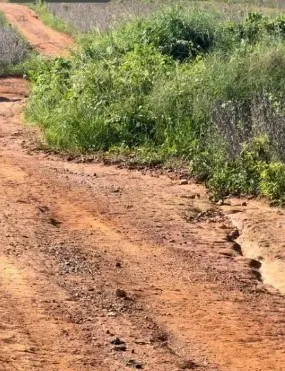 Fazenda em Ibiá/Minas Gerais — Ref 3GW3ZB — Imagem 7