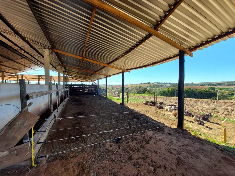 Sítio em Santo Antônio de Posse/São Paulo — Ref HRU3MZ — Imagem 14