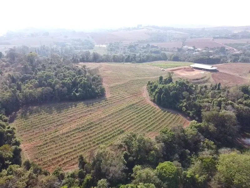 Sítio em Santo Antônio de Posse/São Paulo — Ref HRU3MZ — Imagem 4