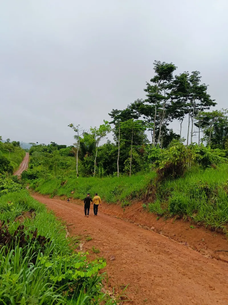 Imóvel rural em Uruará/Pará — Ref W80G201