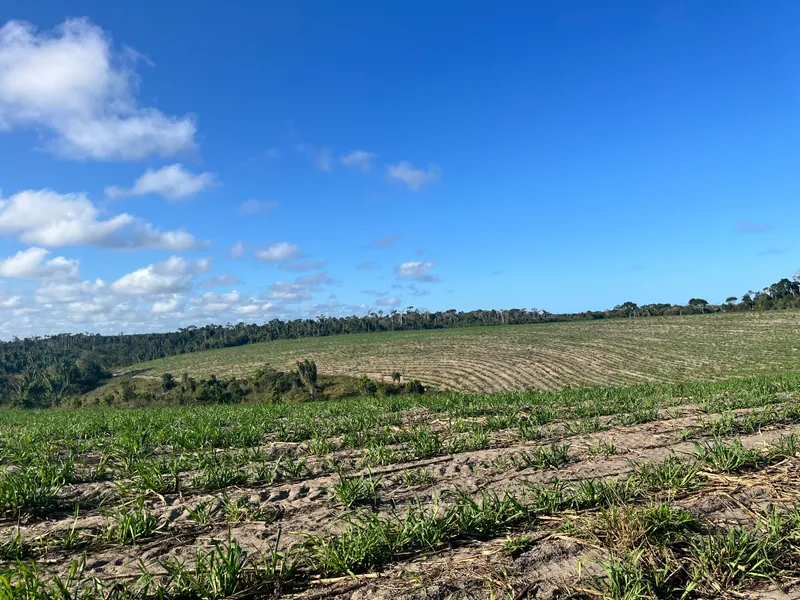 Fazenda em Belmonte/Bahia — Ref 39YHOY — Imagem 2