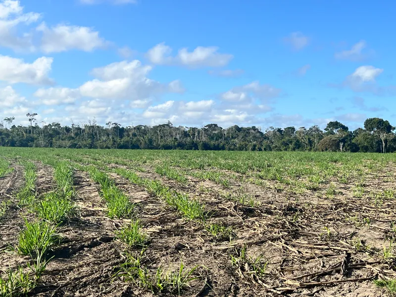 Fazenda em Belmonte/Bahia — Ref 39YHOY — Imagem 3