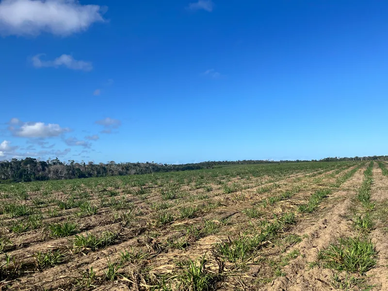 Fazenda em Belmonte/Bahia — Ref 39YHOY — Imagem 4